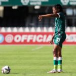 Sithebe of AmaZulu