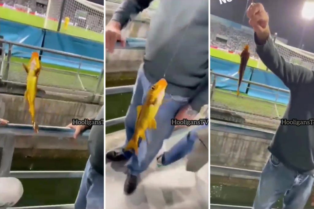 Watch: Inter Milan fan bizarrely catch fish at Mapei Stadium in Sassuolo