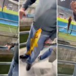 Watch: Inter Milan fan bizarrely catch fish at Mapei Stadium in Sassuolo