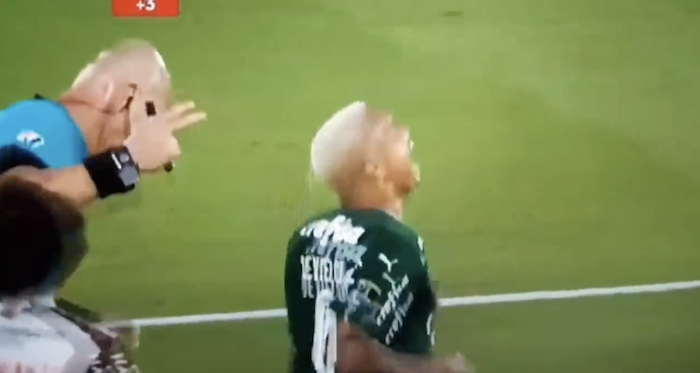 Watch: Player dives with slightest touch from ref